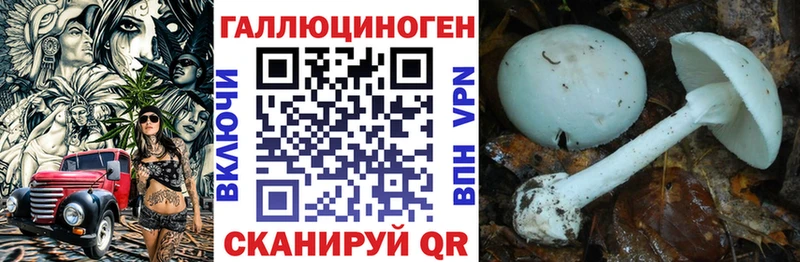 Псилоцибиновые грибы GOLDEN TEACHER  Купить закладки  Малаховка 